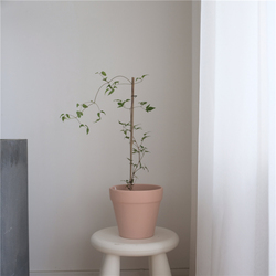 自制温油淡粉色陶瓷花盆韩国chic现代简约室内外盆栽种植通用