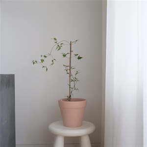 自制温油淡粉色陶瓷花盆韩国chic现代简约室内外盆栽种植通用