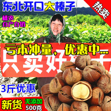 包邮 东北特产大榛子薄皮新货原味野生开口铁岭棒臻子生熟干果500g
