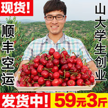 包邮 烟台大樱桃车厘子新鲜水果孕妇大红灯美早3斤顺丰 应季水果