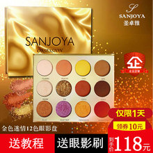 SANJOYA圣卓雅金色迷情眼影盘欧美风眼影哑光珠光闪粉网红眼影盘