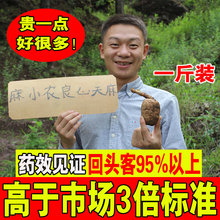 云南昭通小草坝特级天麻纯干野生正宗品500g可磨粉切片非乌长白山