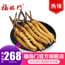 官网正品 1克新草 克虫草 特价 西藏那曲3.5条 福临门冬虫夏草