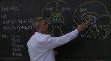 人体解剖学视频 59集全 视频 讲义 霍琨 系统解剖学