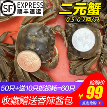 苏八鲜二元蟹鲜活小螃蟹大闸蟹0.5-0.7两/只河蟹大一元蟹香辣蟹