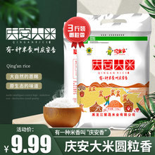 珍珠米1.5kg 庆安大米圆粒米 粳米寿司米专用米东北大米3斤