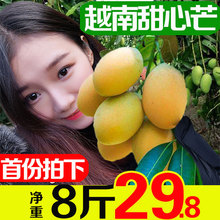 越南进口甜心芒果青芒8斤5月五月六月6月应季水果当季新鲜整箱10