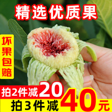 山东绿皮新鲜青皮威海无花果新鲜特大水果5斤现摘现发500g一斤2斤