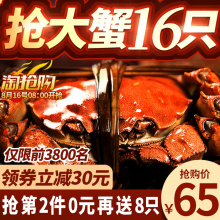 第2份0元 现货大闸蟹鲜活六月黄特大鲜活大闸蟹全母公螃蟹礼盒