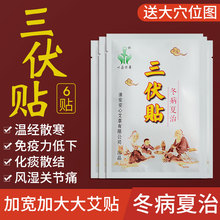 叶葆传奇三伏贴成人儿童冬病夏治穴位贴敷艾灸热贴加大持久三伏灸