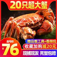 【抢20只】大闸蟹鲜活洪泽湖螃蟹现货六月黄特大蟹公蟹母蟹礼盒
