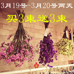 Shop from english taobao tmall store, global buy agency Stue lavendel