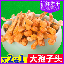 虫草花干货孢子头北虫草金虫蛹虫草礼袋装 包邮 虫草花正品 买2赠1