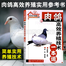 肉鸽高效养殖技术一本通养鸽子书籍鸽子养殖技术书大全与疾病防治技术书养鸽子书籍鸽场经营管理书籍饲料配制饲养管理常见病诊治书