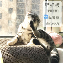 猫抓板大号瓦楞纸猫窝猫抓板磨爪器猫爪板猫砂垫子猫咪用品猫玩具