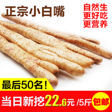 正宗小白嘴山药河北新鲜比垆土铁棍 包邮 铁杆淮山药好吃实惠5斤装