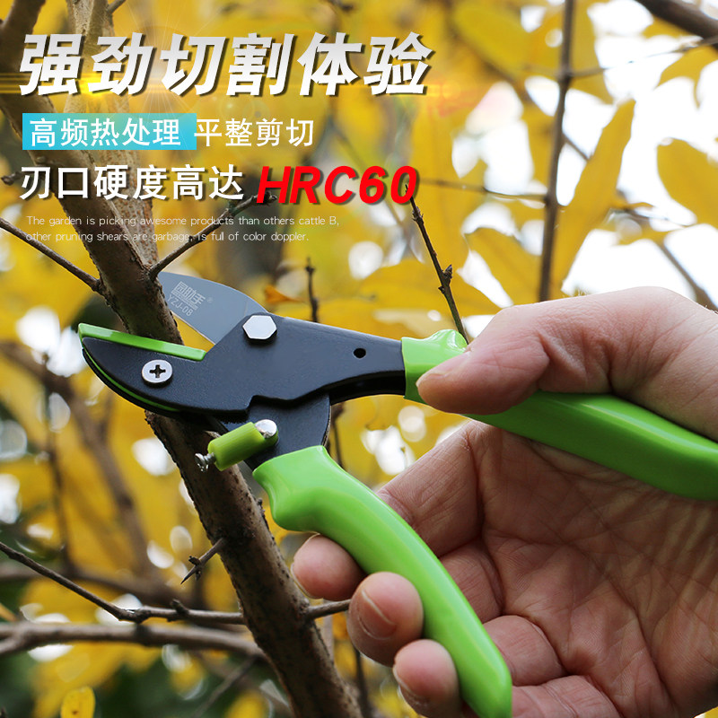 绿化修枝剪,园林绿化修剪机,修剪绿化_大山谷图库