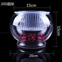 水培植物玻璃瓶 水培绿萝花瓶花盆玻璃圆球 送加深定植篮水培容器