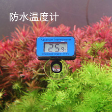 鱼缸温度计缸内数显电子精度迷你水族专用测温器小胖水温计防水高