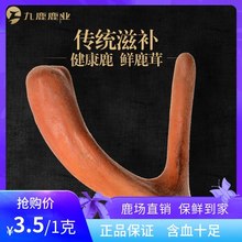 梅花鹿鹿茸新鲜整枝头茬正品 泡酒片泡水非500g鹿茸片可切血片蜡片