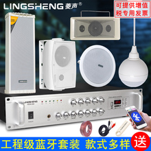 菱声 DS吸顶喇叭背景音乐套装吊球壁挂音箱广播音柱功放音响