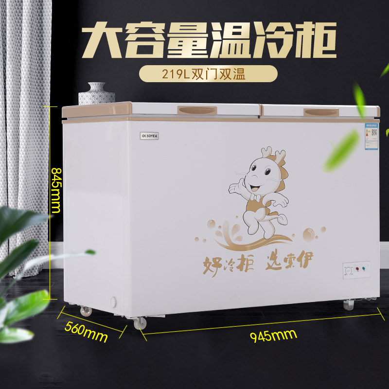 ����˫��˫�����BCD-262SM