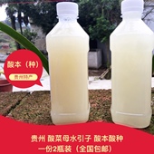 酸酵母酸菜母水做酸菜点豆腐豆花卤水酸汤2斤2瓶装 酸种 贵州酸本