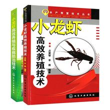 小龙虾高效养殖与疾病防治技术 小龙虾养殖技术大全教程书籍水产养殖书龙虾科学养殖图书籍水产致富技术书 2019小龙虾高效养殖技术