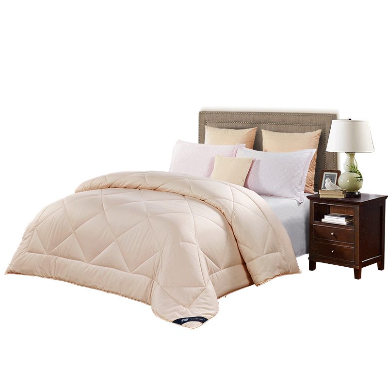 ��˯��ɣ��˿����S62501AC