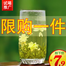 茉莉花茶叶罐装 2019新茶浓香型茉莉花茶特级茶叶散装 试喝推广