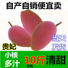 包邮 10斤超大个薄皮小核红色芒果水果 树上熟广西中大贵妃芒果新鲜