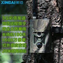 H50彩信打猎相机防盗贼红外夜视野外狩猎果园监控摄像机3G 新佰