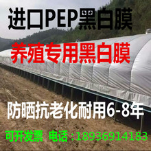 包邮 黑白塑料薄膜养殖膜大棚膜保温遮光薄膜 进口加厚12丝黑白膜