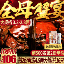 【抢大蟹16只】 现货阳澄湖大闸蟹特大全母蟹大螃蟹现货鲜活礼盒