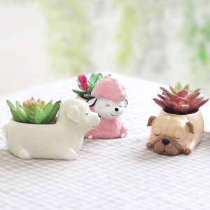 卡通小动物多肉小狗花盆