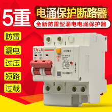DZ47家用总开关总闸2P 包邮 63A浪湧保护器 泰力防雷防漏电断路器