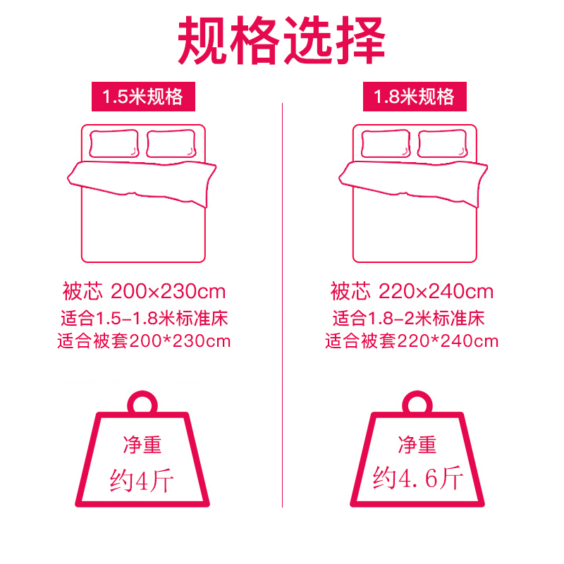 �����˿�Ứ��W91513241103