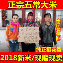包邮 黑龙江农家米粳米 2018年新米东北大米正宗五常稻花香大米5kg