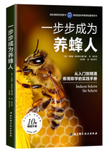养蜂 春繁到大流蜜期 冬歇 夏秋管理 一步步成为养蜂人 包邮 益虫饲养蜜蜂习性与养蜂技术同步学习 正版 高效蜜蜂饲养入门技巧