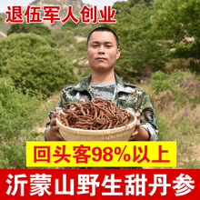 包邮 丹参野生500g三七丹参特级切片天然紫丹参可磨粉泡茶 山东正品