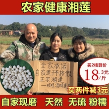 新货湘潭湘莲无芯白莲农家特产干货去芯自产磨皮白莲子寸三莲500g