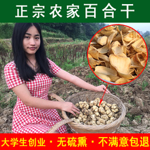 非兰州 湖南龙山食用无硫百合干 天然农家自产百合片250g