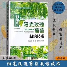 杨治元 受欢迎 葡萄高效栽培书籍 陈哲 王其松 正版 包邮 种植业精品图书 彩图版阳光玫瑰葡萄栽培技术 中国农业出版社
