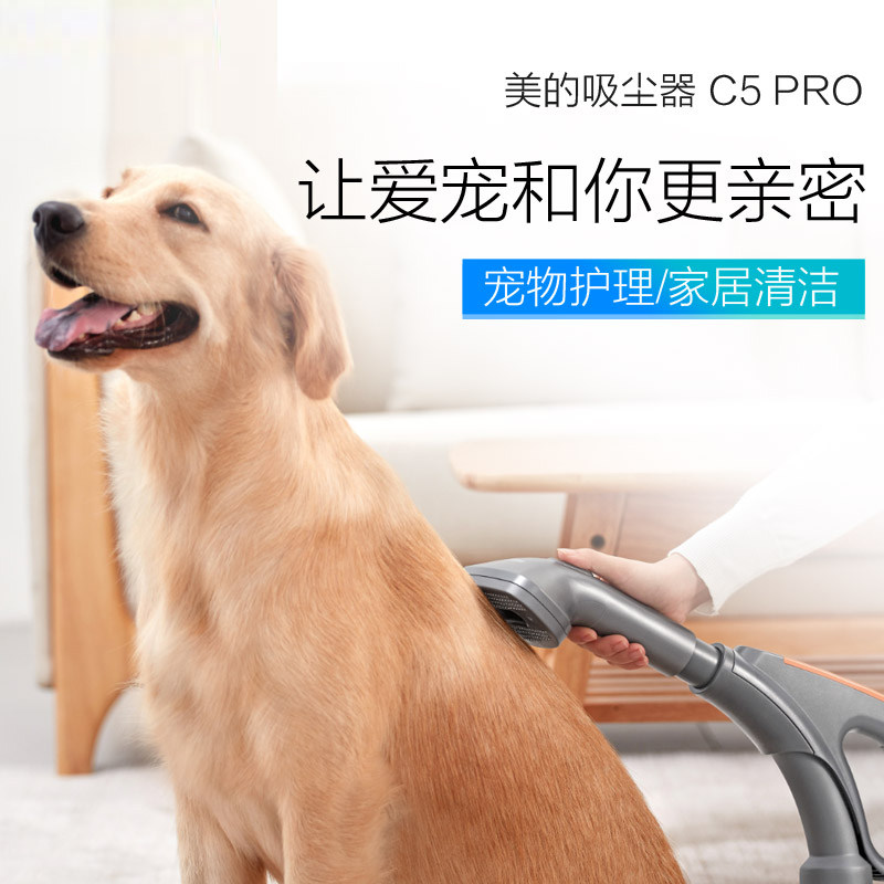 ����ǿ��������