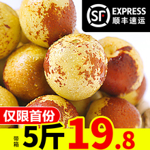 包邮 冬枣新鲜水果带箱5斤 甜脆枣子青枣鲜枣东枣脆枣现货陕西大荔