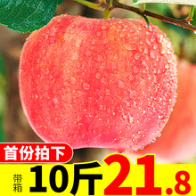 苹果水果新鲜当季带箱10斤批应季脆甜陕西红富士丑萍果嘎啦青整箱