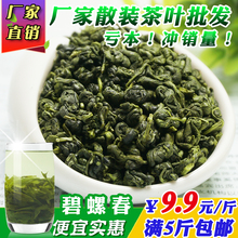 普通碧螺春绿茶螺茶餐管棋牌室饭店散装 茶叶大排档500克厂家直销