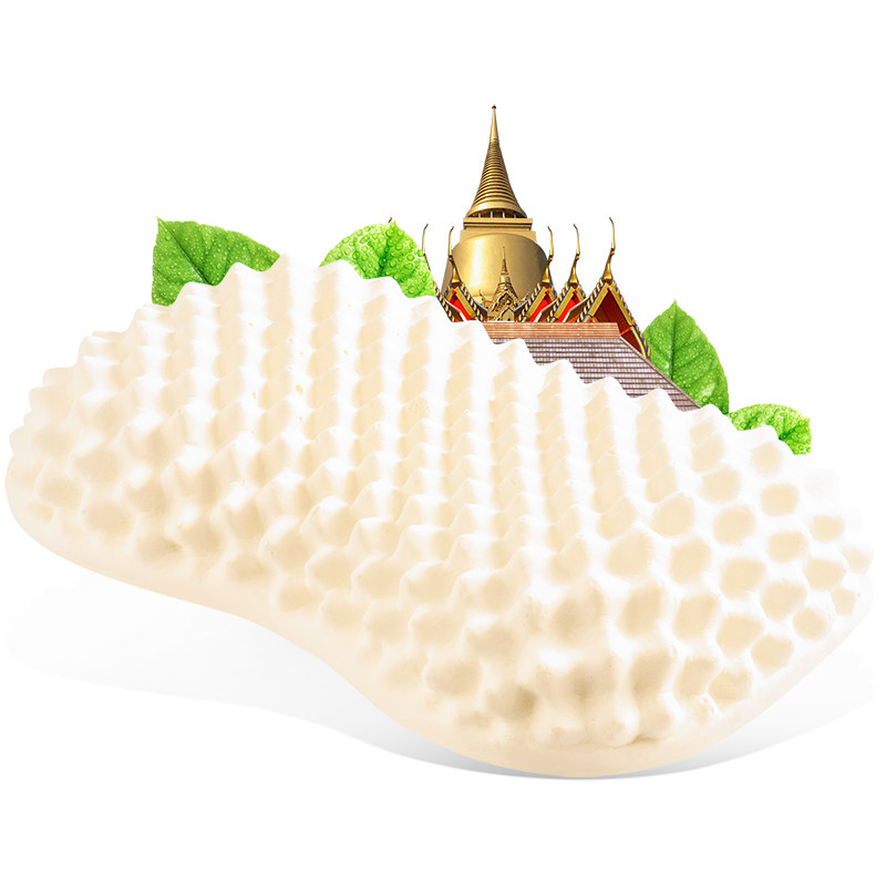 paratex��Ħ�齺��ͷzy5588