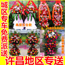 庆典开业花篮同城速递许昌市许昌县鄢陵县襄城县禹州市长葛市