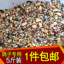 包邮 有玉米鸽子粮赛飞营养饲料鸟食信鸽观赏鸽肉鸽子粮食 5斤装